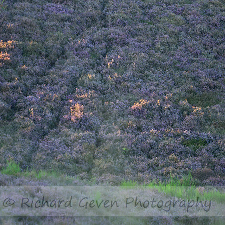 rgeven20151003-1641