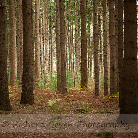 rgeven2016-0447