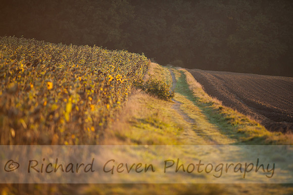 rgeven20151003-4744