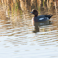 rgeven2016-4246