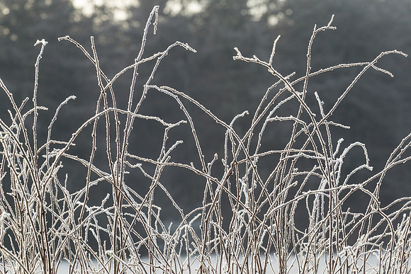 rgeven2016-5843
