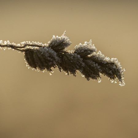rgeven2016-5772