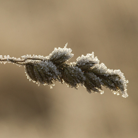 rgeven2016-5788