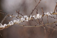 Winter details / Winter details
