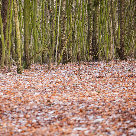 rgeven2016-4565
