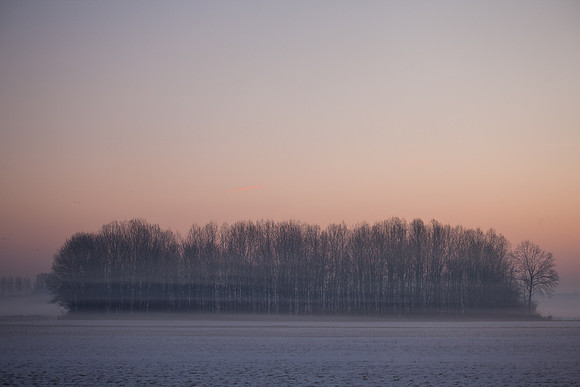 rgeven2017-5093