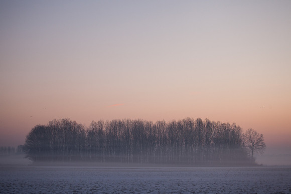 rgeven2017-5095