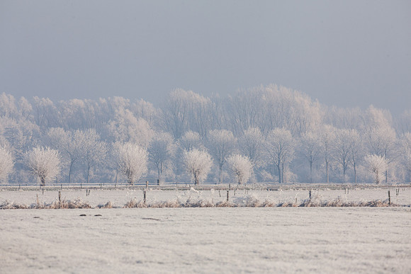 rgeven2016-4131