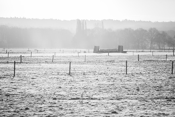 rgeven2016-4460