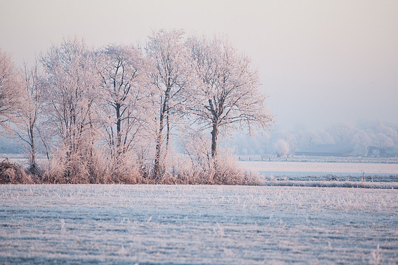 rgeven2016-3955