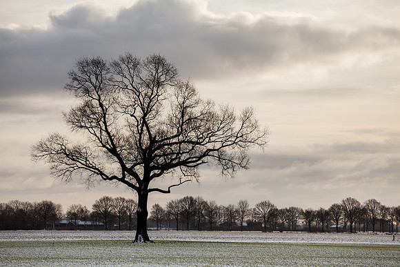 rgeven2016-4419