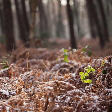 rgeven2016-4551