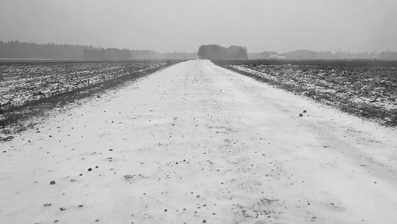 rgeven2017-4306