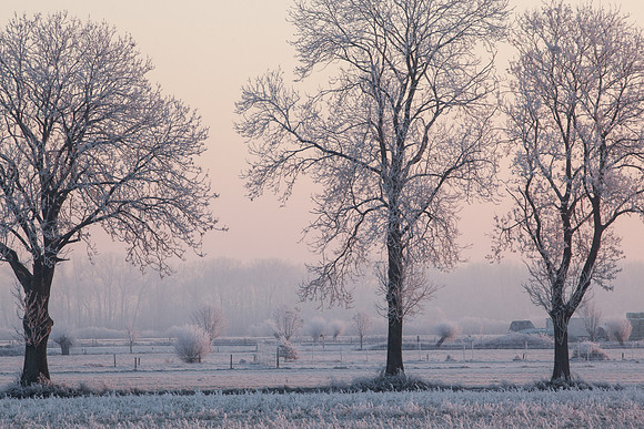 rgeven2016-3949