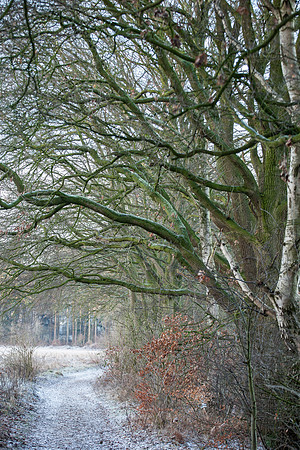 rgeven2016-4457