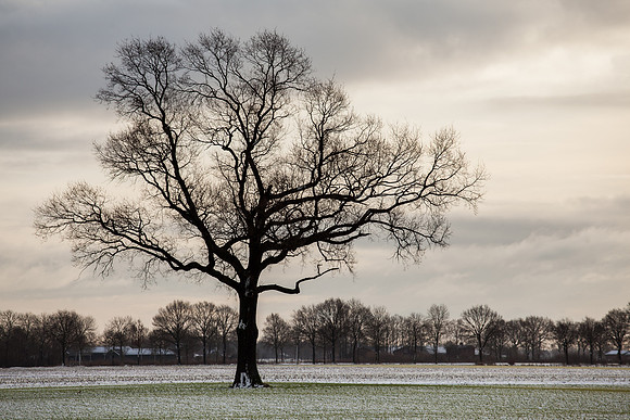 rgeven2016-4424