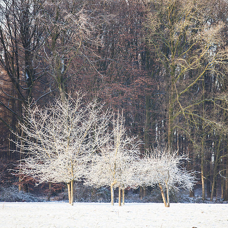 rgeven2016-4459