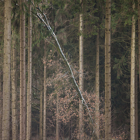 rgeven2016-4527