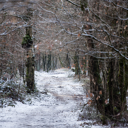 rgeven2016-4473