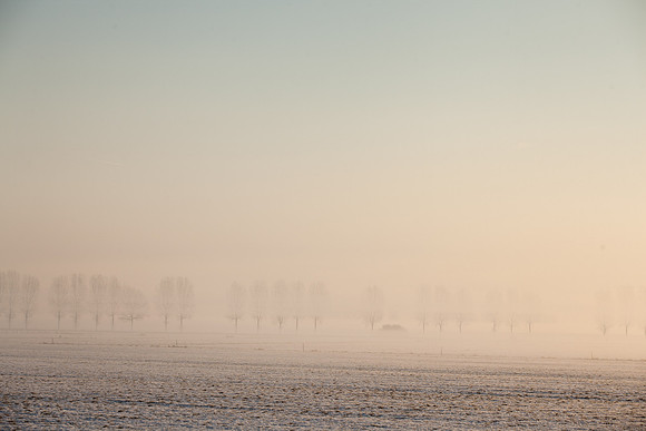 rgeven2017-5263