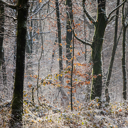 rgeven2016-4465