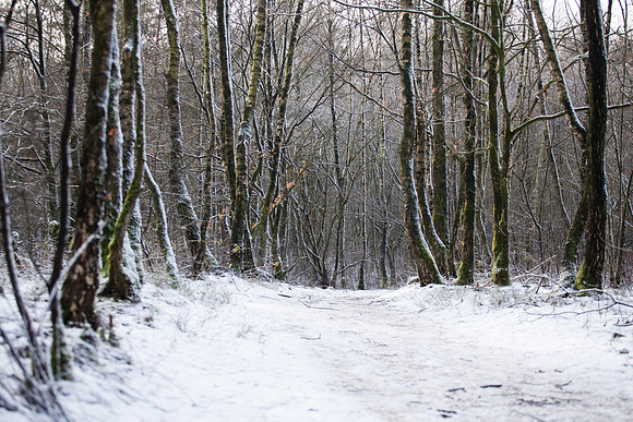 rgeven2016-4476