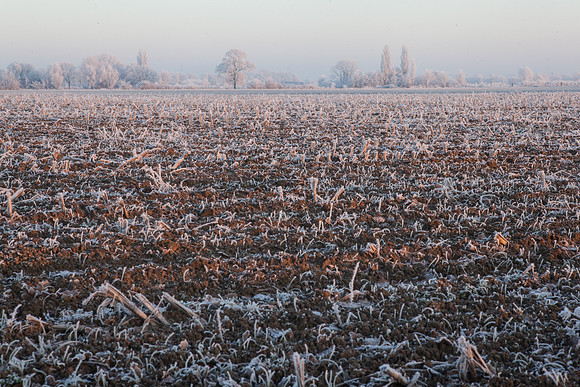 rgeven2016-3960