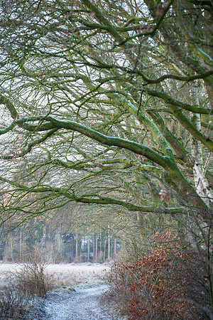 rgeven2016-4454