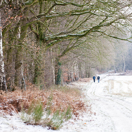 rgeven2016-4461