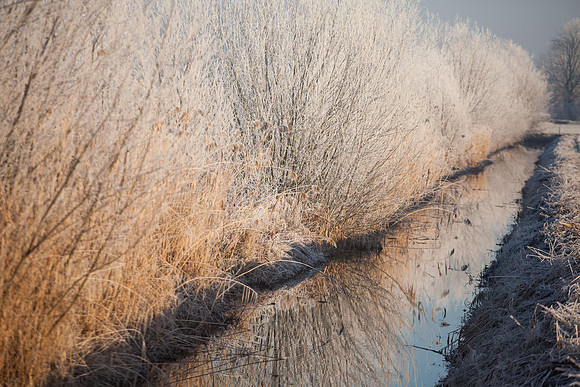 rgeven2016-4124