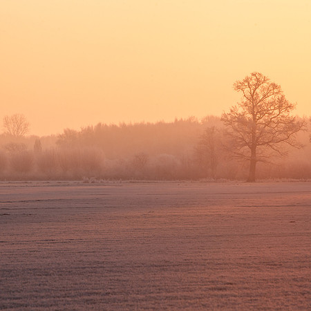 rgeven2016-3945