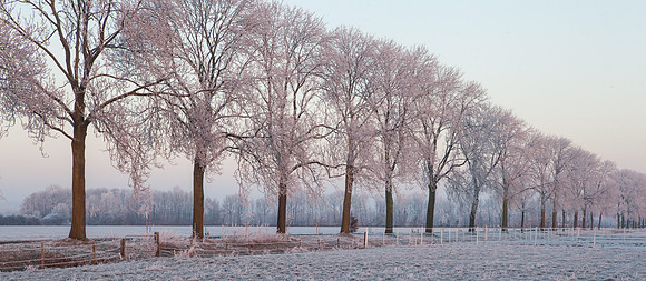 rgeven2016-3940