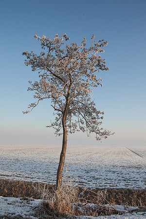 rgeven2017-5267