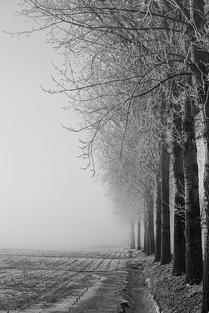 rgeven2017-5240