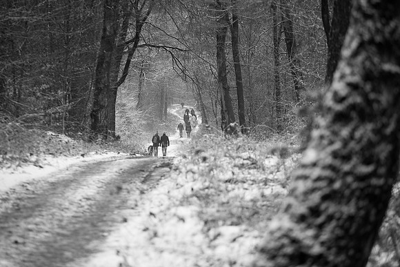 rgeven2016-4529