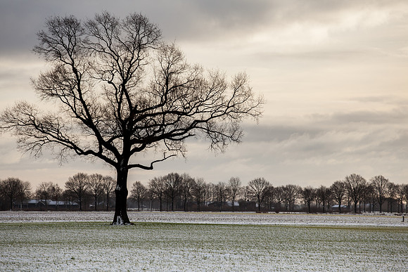 rgeven2016-4417