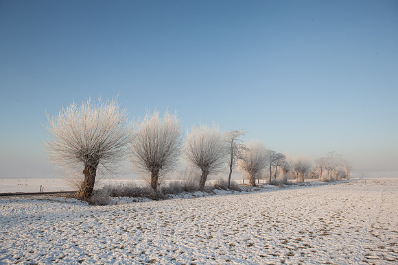 rgeven2017-5279