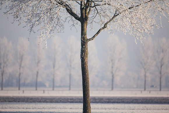rgeven2016-4119