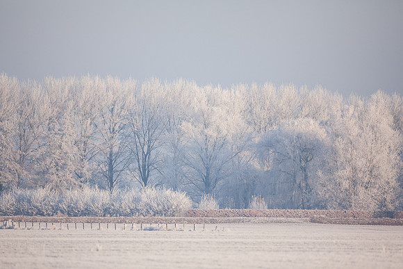 rgeven2016-4110
