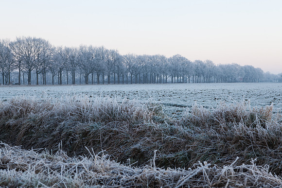 rgeven2016-3907