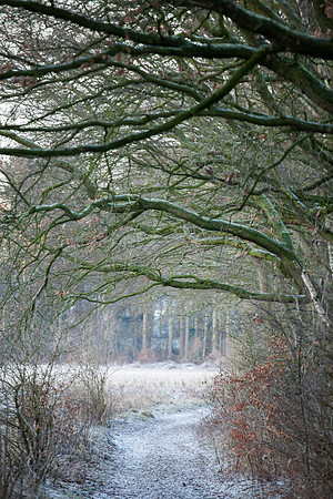 rgeven2016-4448