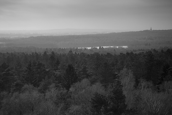 rgeven2016-4516