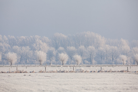 rgeven2016-4130
