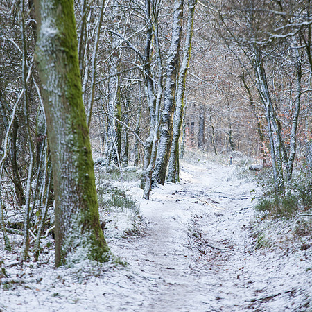 rgeven2016-4483