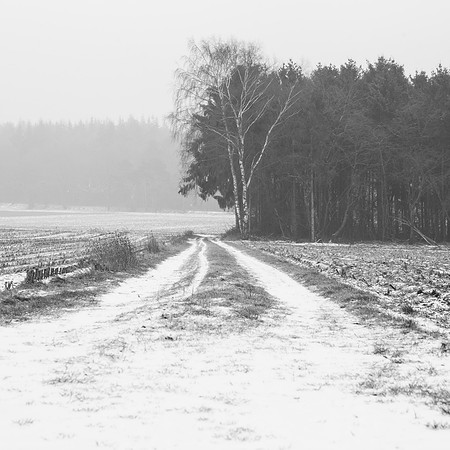 rgeven2017-4311