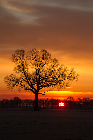 rgeven2016-5577