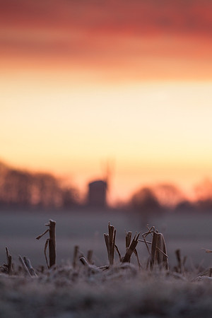 rgeven2016-5442