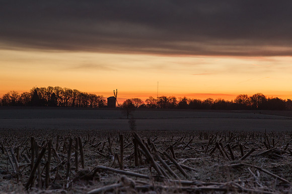 rgeven2016-5302