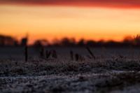 rgeven2016-5365