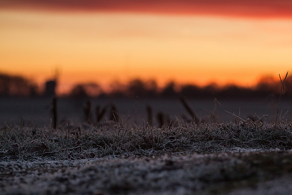 rgeven2016-5365